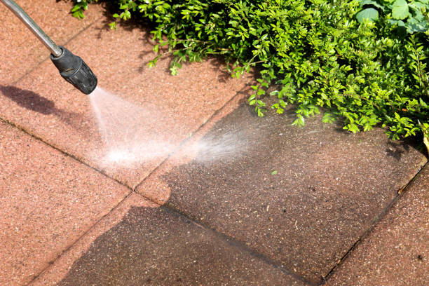 Best Roof Pressure Washing  in Redwood, OR